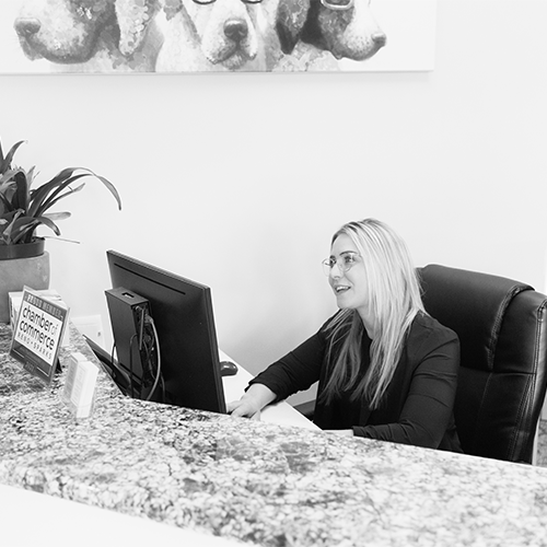 Office manager sitting at the front desk of a dental practice, talking with a patient.